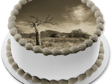 Trees Sepia Tone Bleak Landscape Edible Cake Topper Image ABPID52589 For Discount