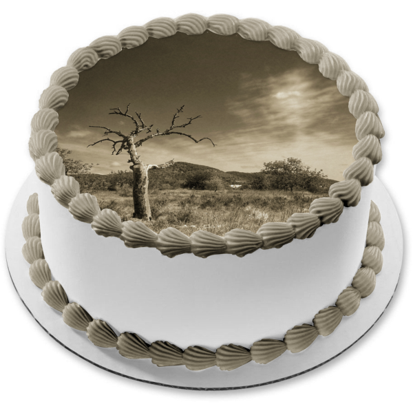 Trees Sepia Tone Bleak Landscape Edible Cake Topper Image ABPID52589 For Discount