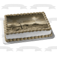 Trees Sepia Tone Bleak Landscape Edible Cake Topper Image ABPID52589 For Discount