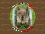 That s Nuts Squirrel Customize Your Age Edible Cake Topper Image ABPID52356 Hot on Sale