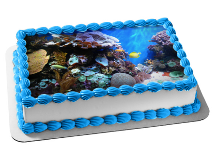 Ocean Life and Scape Fish Coral Edible Cake Topper Image ABPID52571 Online