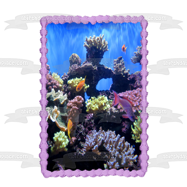 Underwater Ocean Life Fish Coral Edible Cake Topper Image ABPID52575 Online Sale