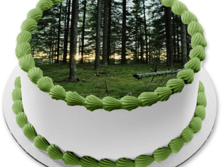 Forest Landscape Edible Cake Topper Image ABPID52586 Supply