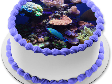 Ocean Scape Coral Edible Cake Topper Image ABPID52590 Sale