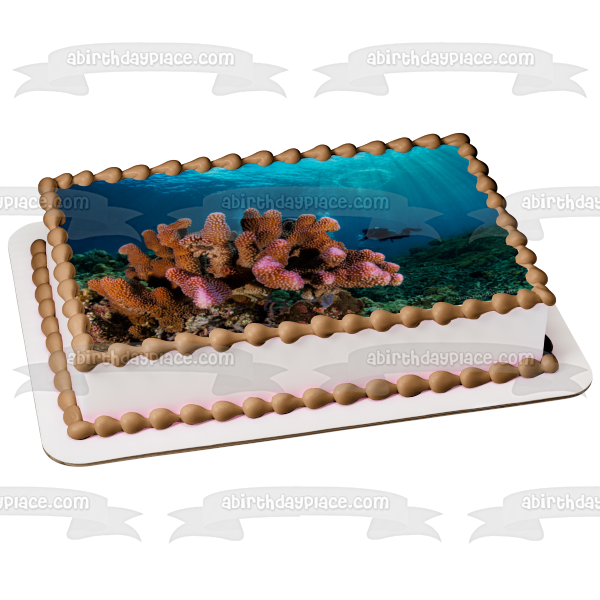 Deep Sea Diving Ocean Coral Edible Cake Topper Image ABPID52569 Fashion