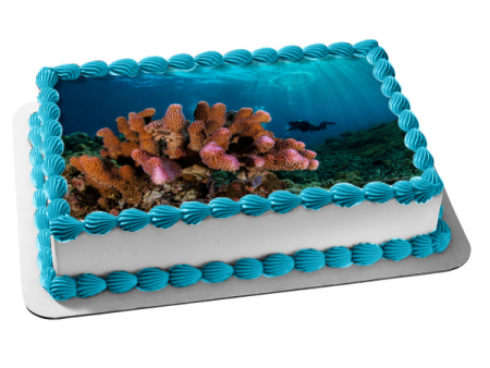 Deep Sea Diving Ocean Coral Edible Cake Topper Image ABPID52569 Fashion