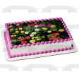 Zinea s Assorted Colors Edible Cake Topper Image ABPID52587 Discount