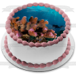 Deep Sea Diving Ocean Coral Edible Cake Topper Image ABPID52569 Fashion