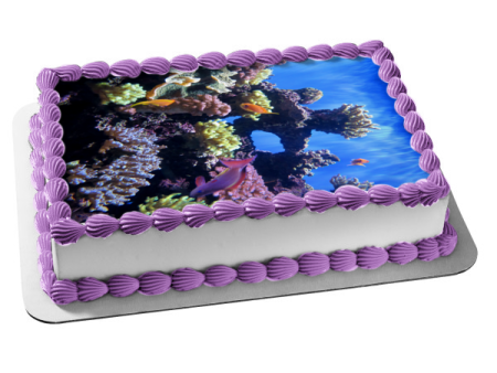 Underwater Ocean Life Fish Coral Edible Cake Topper Image ABPID52575 Online Sale