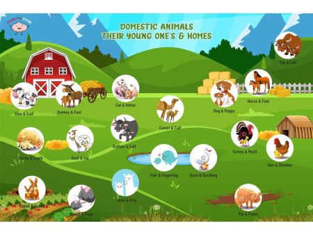 Domestic Animals Activity Mat For Discount