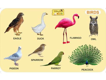 Birds - Educational Puzzles Online Hot Sale