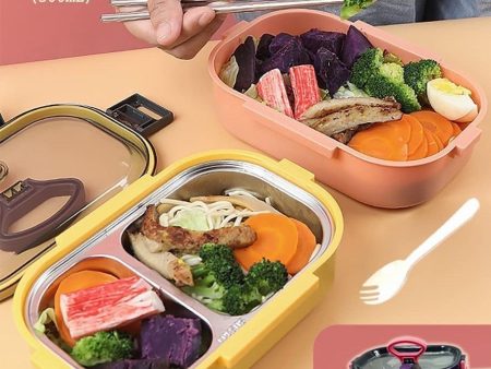 Lunch Box 2 Compartment Insulated Lunch Box Stainless Steel Tiffin Box Sale