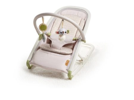 2-in-1 Rocker (Baby Bouncer) Hot on Sale