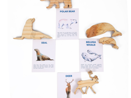 Artic Animals (Drawing and Craft Kit) - Set of 5 Discount